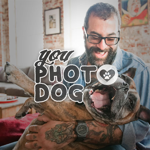 Book fotografici per animali cani